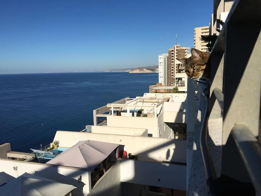 Piso En La Primera Linea Del Mar Con 2 Dormitorios Benidorm Exteriér fotografie