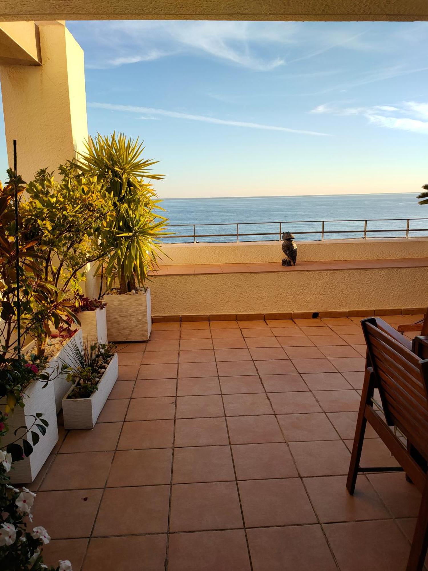 Piso En La Primera Linea Del Mar Con 2 Dormitorios Benidorm Exteriér fotografie